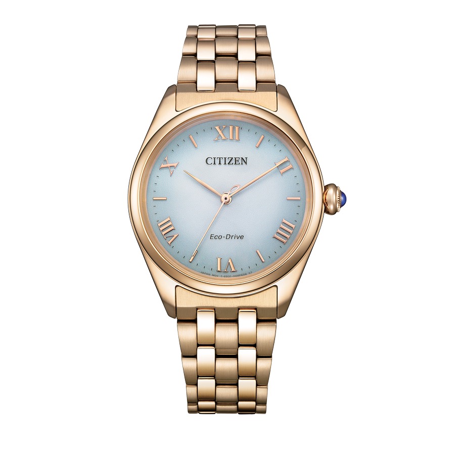 Citizen Lady